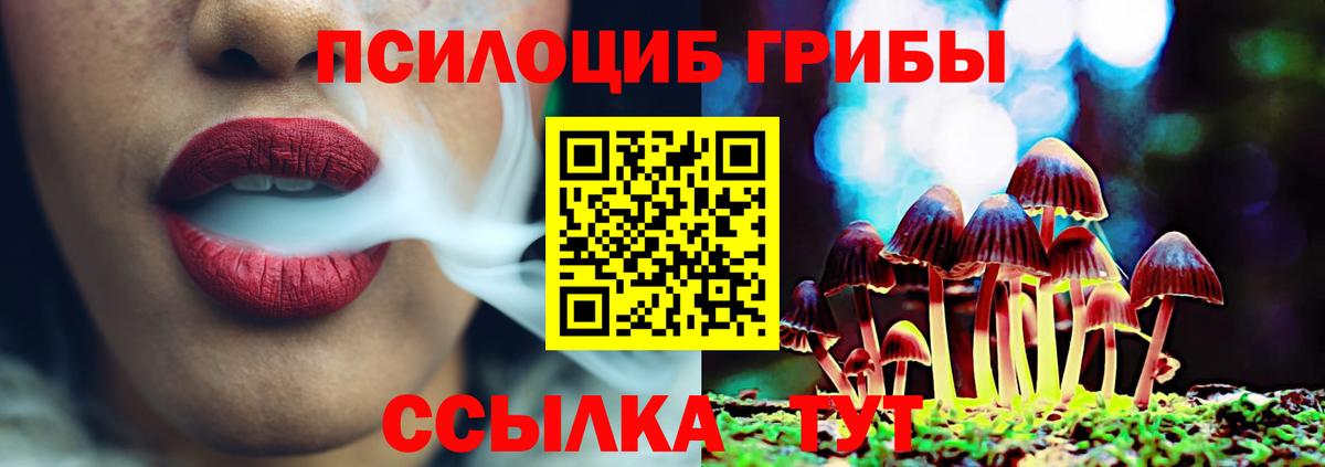 Унеча  Псилоцибиновые грибы Psilocybine cubensis  Вход с VPN 